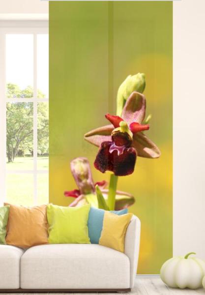Wilde Orchidee, Schiebegardine, Schiebevorhang, Orchidee, Flächenvorhang